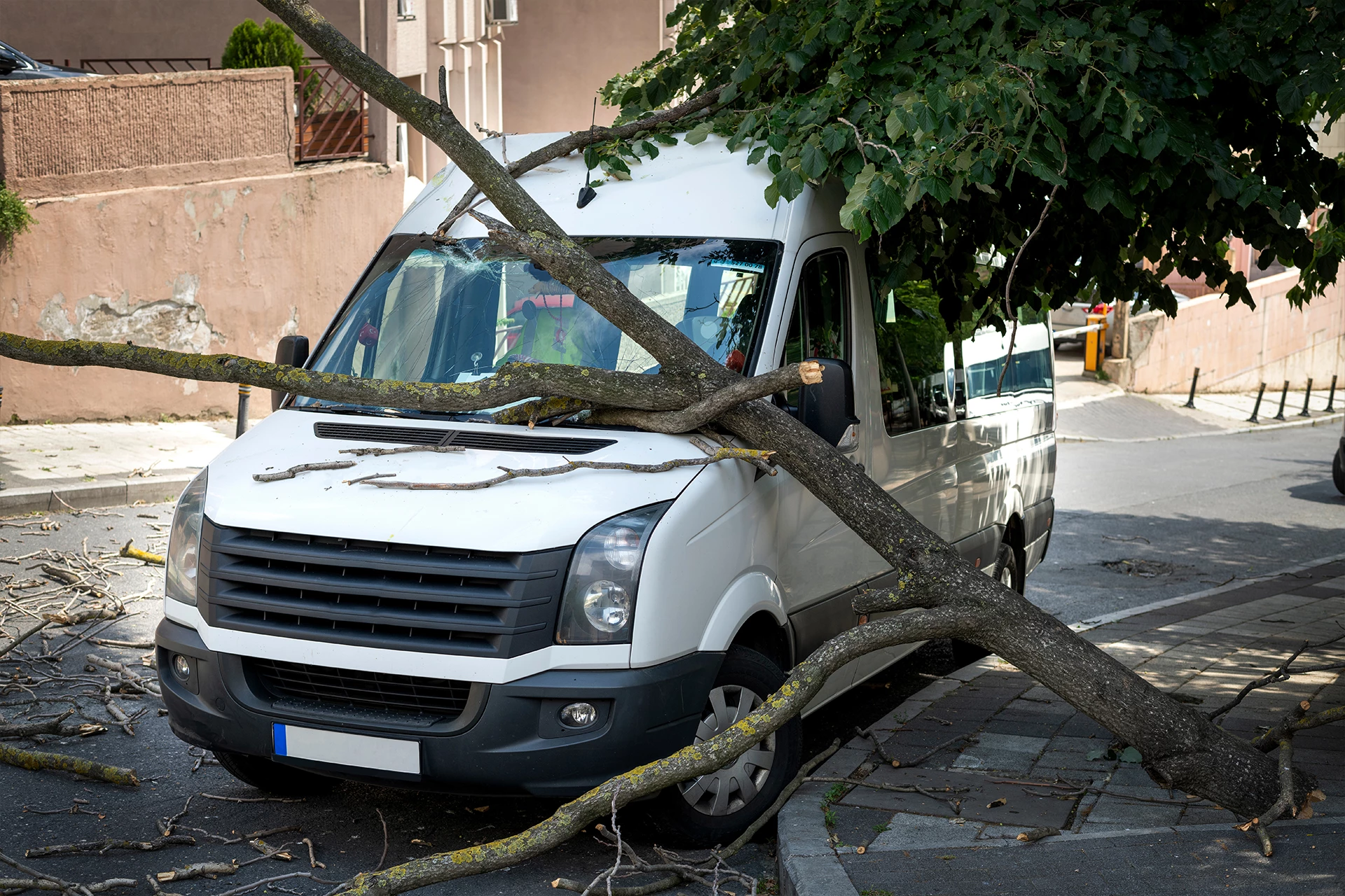 teltonika-dualcam-solution-with-dout-power-control-1920x1280.jpg