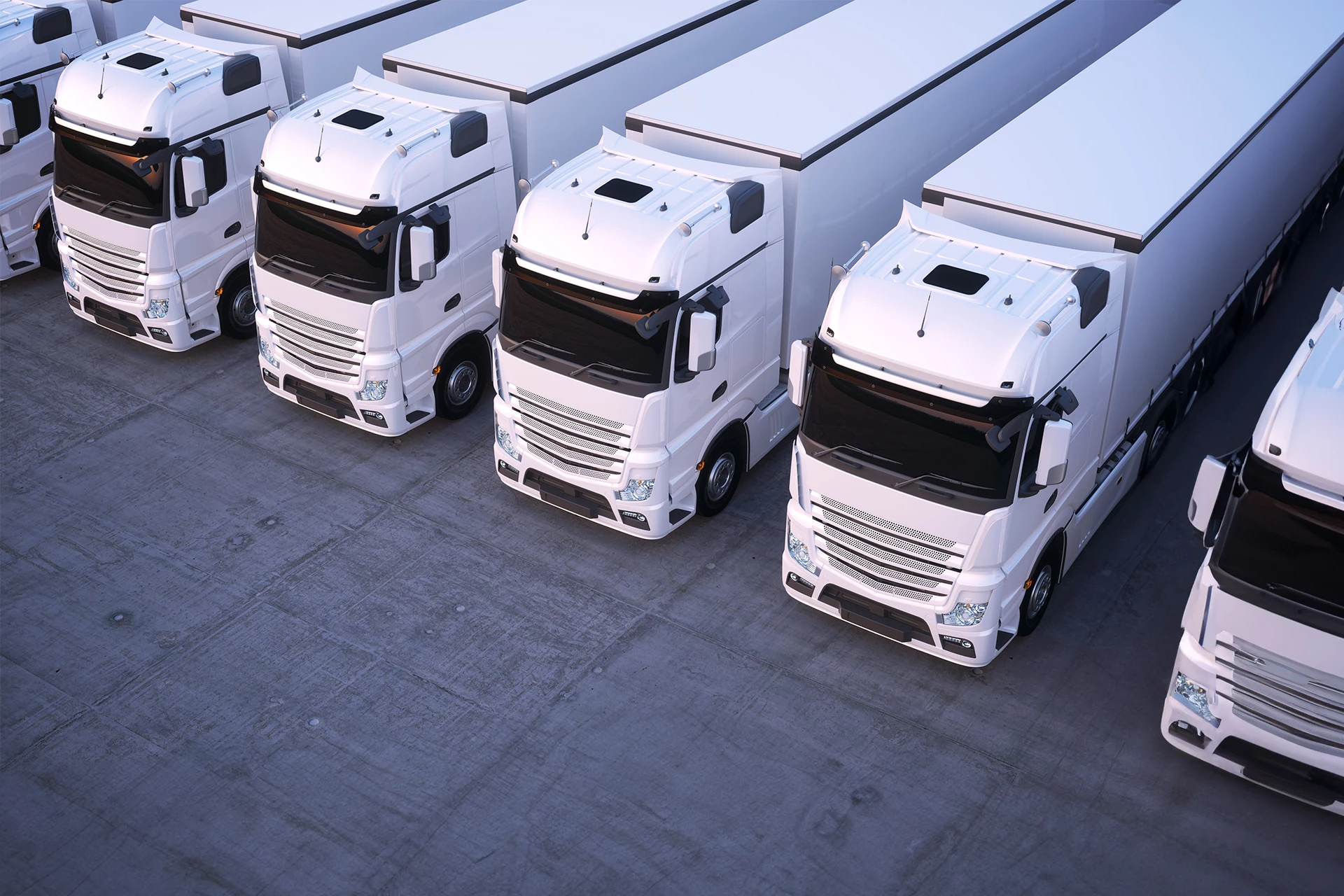 White trucks